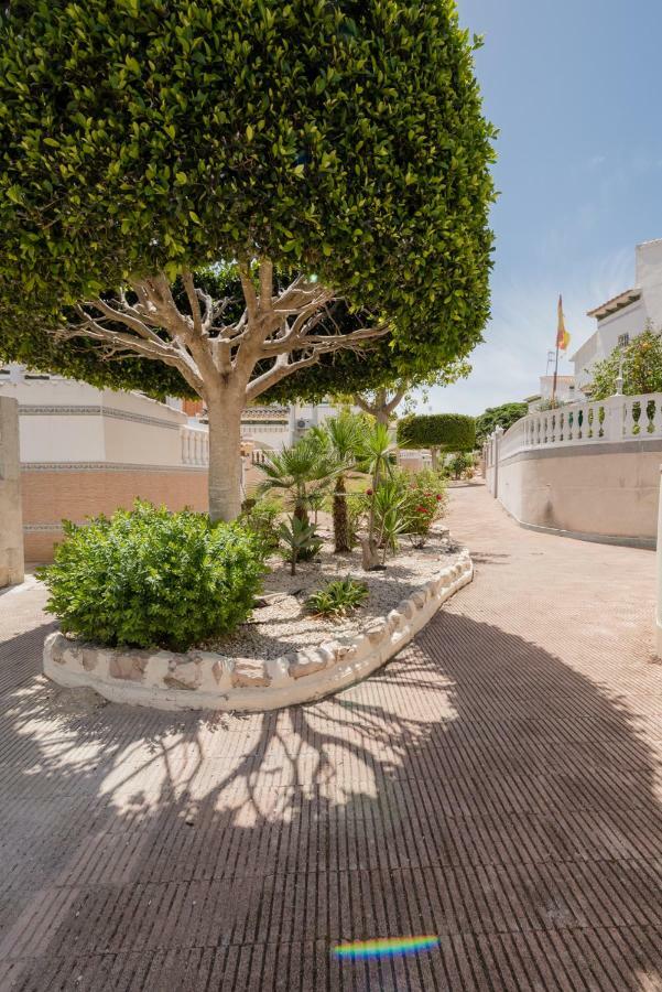 Apartament "Parque Mar" La Mata  Exterior foto